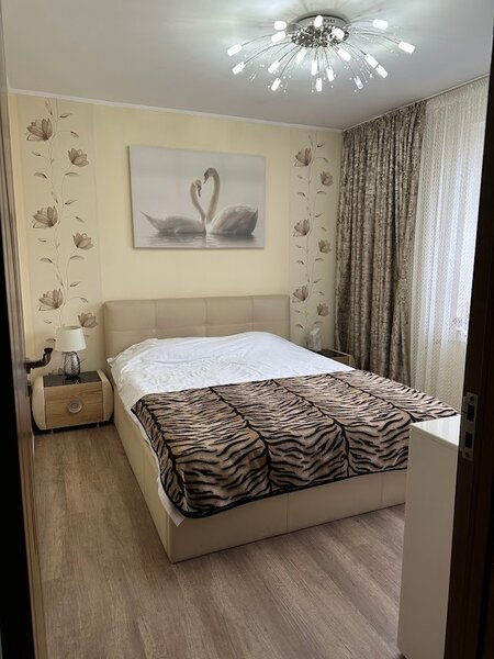 1 Decembrie 1918, Trapezului, Prevederii.